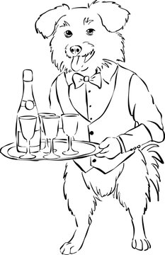Ilustraci&oacute;n vectorial de perro vestido de camarero llevando una fuente con botella y copas. Dibujo de perro sirviendo bebidas. 