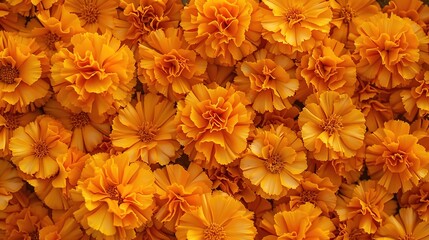 Fototapeta premium marigold seamless pattern wallpaper
