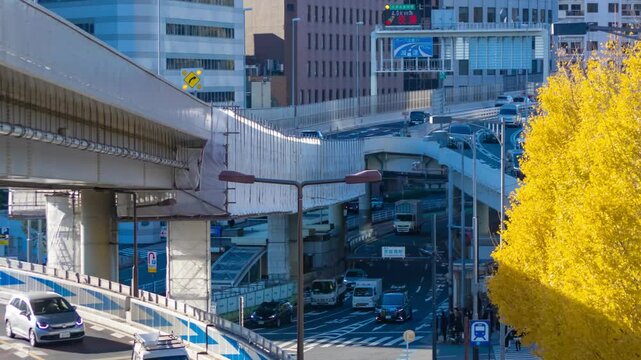 A timelapse of traffic jam at city street with yellow gingko trees telephoto shot