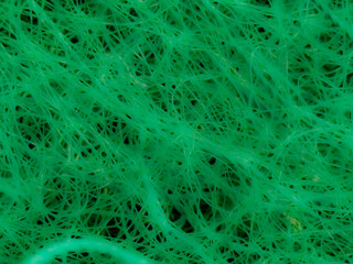 abstract green background