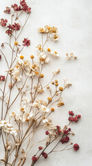 dried flowers on white table background top view
