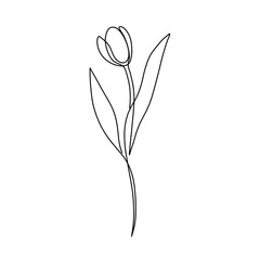 Flower and plant continuous single line art drawing. Tulip flower minimal art style. Tulip flower continuous line art illustration.