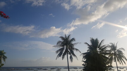Fototapeta premium palm trees at sunset panglao, bohol, philippines, island