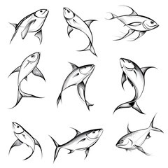 Obraz premium Elegant Black and White Fish Illustrations