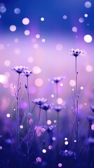 Purple meadow night backgrounds outdoors.