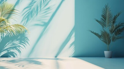 Sunlit turquoise room, palm shadows, plant, minimal backdrop, product display