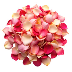 Obraz premium Pile of rose petals isolated on transparent background