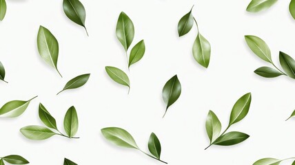 Naklejka premium Elegant green plant and leaf pattern illustrated in pencil, showcasing nature's beauty in intricate detail.