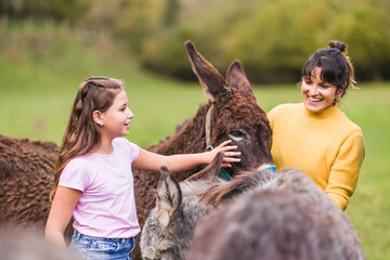 Girl and veterinarian caring for donkeys in animal sanctuary in quiros, asturias, spain