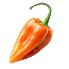 Orange habanero chili isolated on transparent background