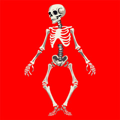 Dancing Skeleton vector for t shirt design.