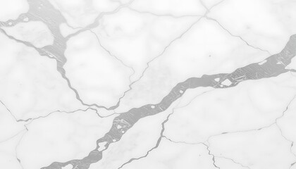 Fototapeta premium Abstract Grey Veining on White Marble Background