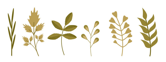 A set of plants, branches with leaves, isolated on a white background