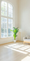 Bright living room with sunlight streaming through large windows and a potted plant