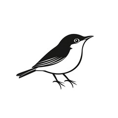 Obraz premium Detailed Line Art Illustration of a Cute Bird
