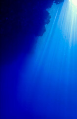 Cathedrals of light. Artistic underwater photo of magic rays of sunlight. Scuba diving. 