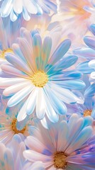 Obraz premium Daisy flower backgrounds abstract.