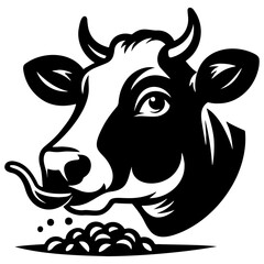 Dairy Cow Eating Fodder.