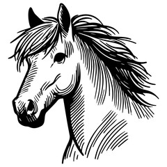 Horse Head Sketch Drawing.