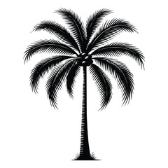 Minimalist Black and White coconut tree Vector Illustration for Retro and Classic Designs
