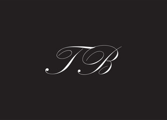 TB letter logo and initial logo design
