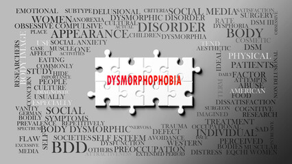 Dysmorphophobia as a complex subject, related to important topics. Pictured as a puzzle and a word cloud made of most important ideas and phrases related to dysmorphophobia. ,3d illustration © GoodIdeas