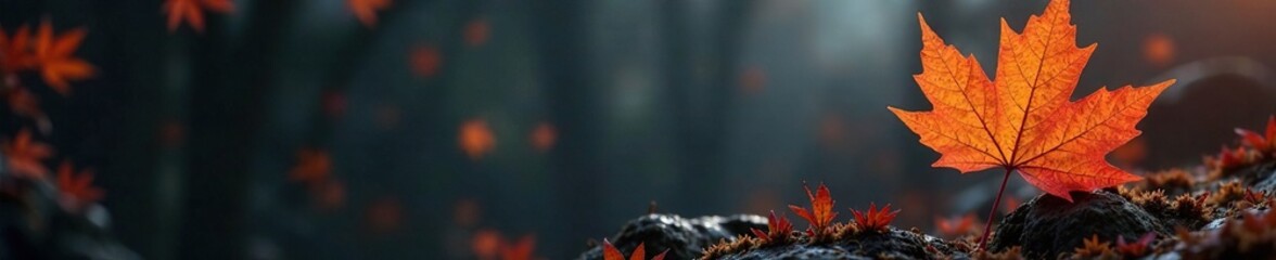 Orange maple leaf against a dark grey background, landscape, maple