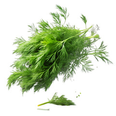 Fototapeta premium Falling green dill isolated on transparent background