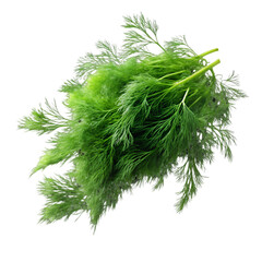 Fototapeta premium Falling green dill isolated on transparent background