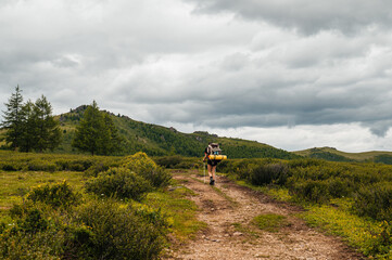 Fototapeta premium A girl with a backpack walks along a trail on the Yeshtykol plateau in the Altai mountains