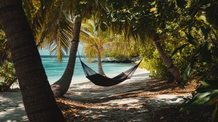 Obraz premium Tropical hammock beach relaxation paradise vacation