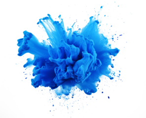 Color powder blue explosion splash of paint dust with particles cloud isolated on white and transparent background.