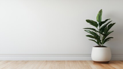 Minimalist bright interior with potted plant adding a touch of nature