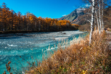 Breathtaking autumn colors blanket the serene Kamikochi Valley in the Japanese Alps. The photo captures a vibrant landscape, where golden and crimson leaves create a stunning contrast against the back
