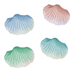 Colorful decorative seashells arranged on a soft background for artistic display