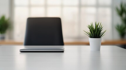 Fototapeta premium Modern office desk with closed laptop and small plant, promoting productivity and well-being