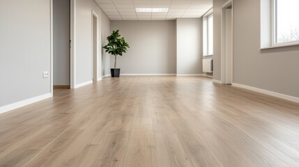 Obraz premium Empty hallway with wooden flooring, potted plant and large windows in bright interior