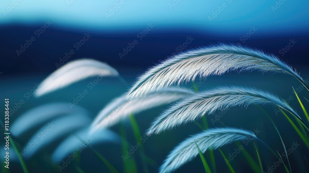 Poster scenery abstract background idea. delicate grasses swaying gently in the soft blue light of dawn, cr