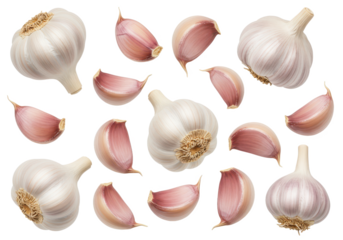 A collection of whole garlic bulbs and individual garlic cloves in varying orientations, isolated on white background, top view