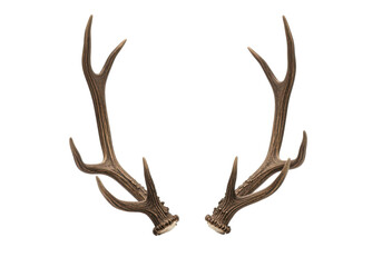 A pair of natural deer antlers with intricate curves and a rugged texture, isolated on a white background
