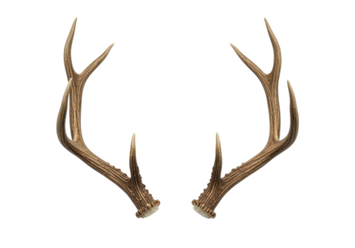 A pair of natural deer antlers with intricate curves and a rugged texture, isolated on a white background - Powered by Adobe