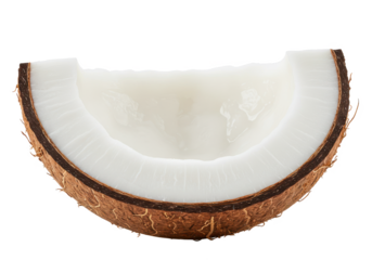 Coconut slice with visible white flesh and brown outer shell, isolated on white background