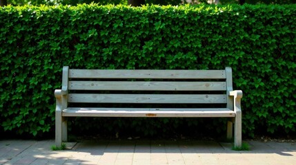 Serene Wooden Bench Beside Lush Green Hedge in a Peaceful Garden Setting