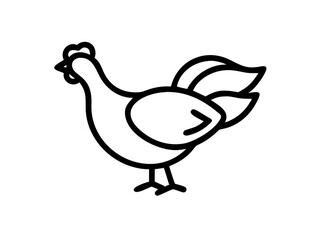 Simple line drawing, minimalist chicken illustration, black and white, bold outlines, stylized bird, side view, single stroke artwork, clean design, graphic icon, farm animal silhouette, simplified sh