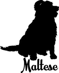  Maltese dog silhouette, dog, dog breeds, logo, vector, love me love my dog, silhouette, i love my dog, animal, illustration, icon, sign, design, black, symbol, pet, love
