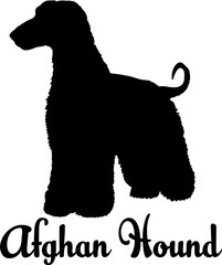 Afghan Hound dog silhouette, dog, dog breeds, logo, vector, love me love my dog, silhouette, i love my dog, animal, illustration, icon, sign, design, black, symbol, pet, love

