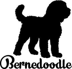 Bernedoodle dog silhouette, dog, dog breeds, logo, vector, love me love my dog, silhouette, i love my dog, animal, illustration, icon, sign, design, black, symbol, pet, love


