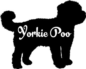 Yorkie Poo.svg dog silhouette, dog, dog breeds, logo, vector, love me love my dog, silhouette, i love my dog, animal, illustration, icon, sign, design, black, symbol, pet, love

