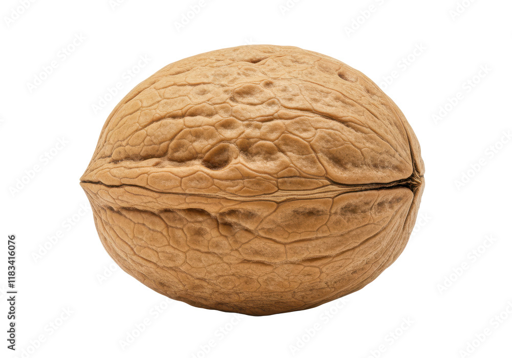 Aufkleber single walnut in shell isolated on white background, no depth of field, sharp.