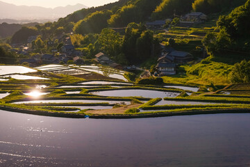 A farming village at dusk, beautiful scenery of rice paddies just before the sun sets	